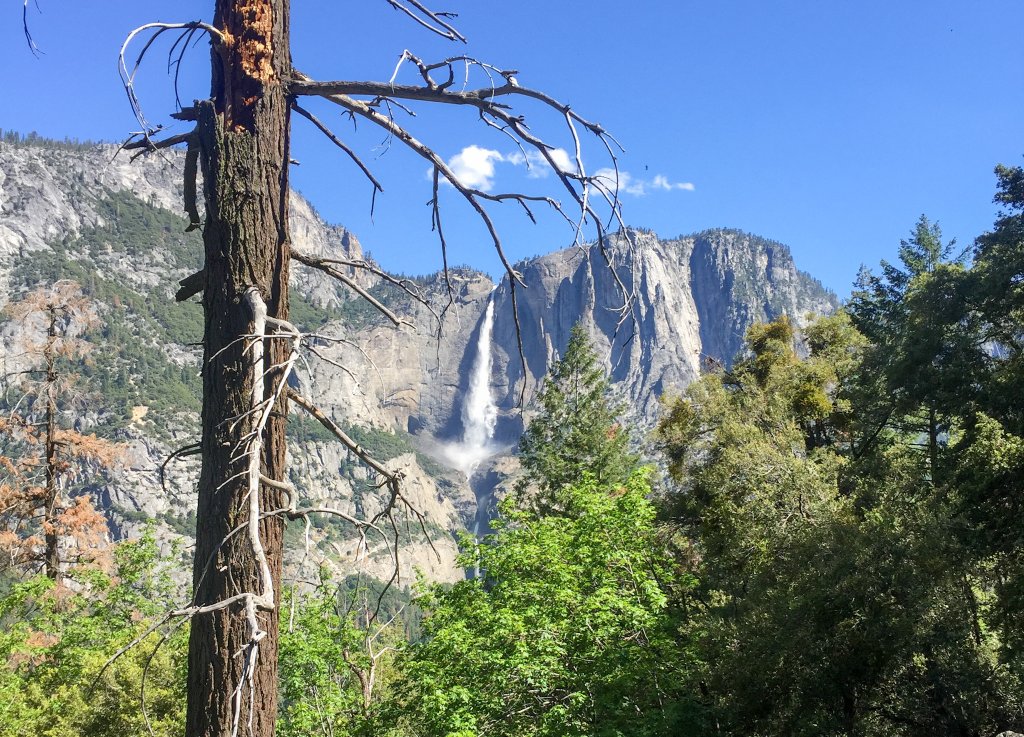 a waterfall in Yosemite