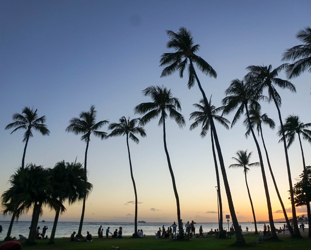 hawaii travel assignment