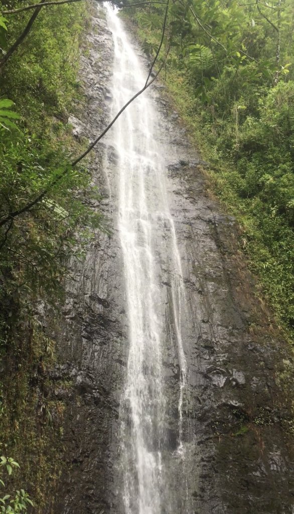 manoa falls waterfall