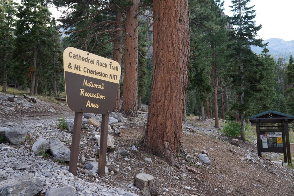 a sign in the woods that says "cathedral rock trail & mt. charleston NRT"