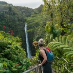 a women looking at Akaka waterfalls in Hawaii