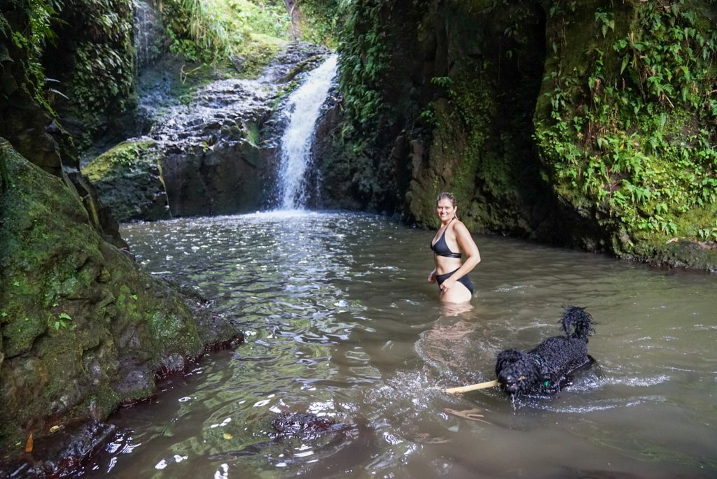 a woman and dog in a pool of water infront of a waterfall