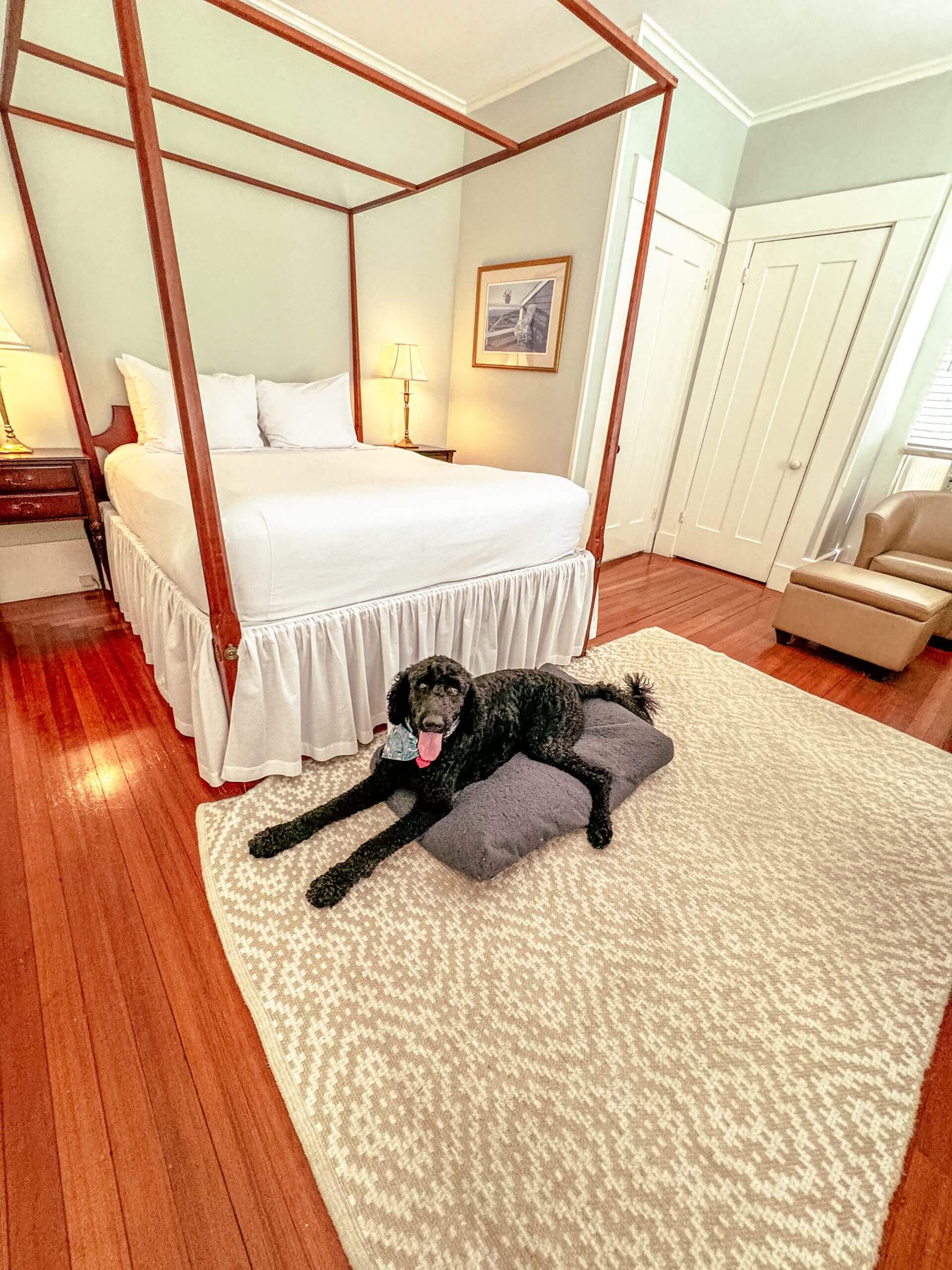 Great Description About Dog Friendly Hotels In Nantucket