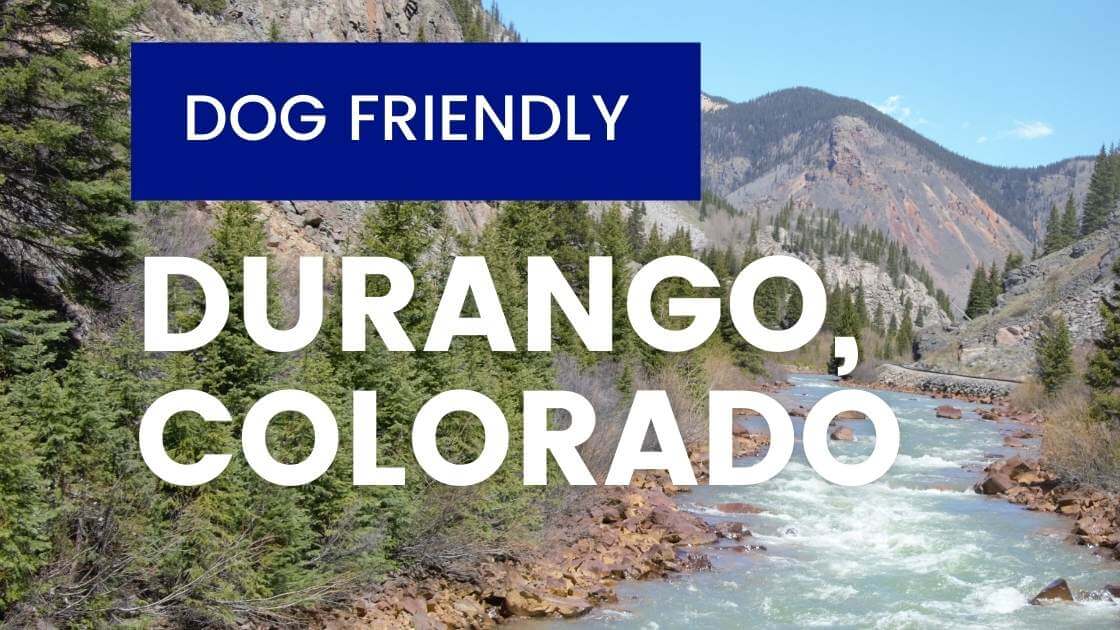 DogFriendly Durango Colorado What To Do With Your Pup The Traveling