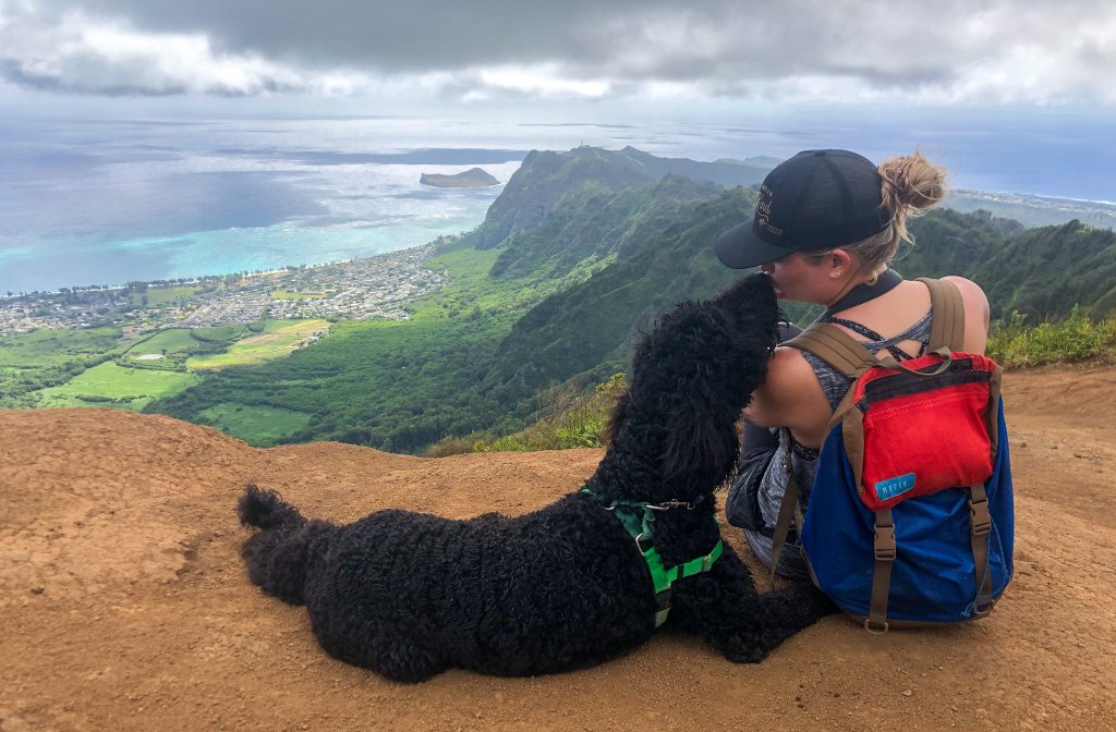 a woman and a dog at the top of a hike