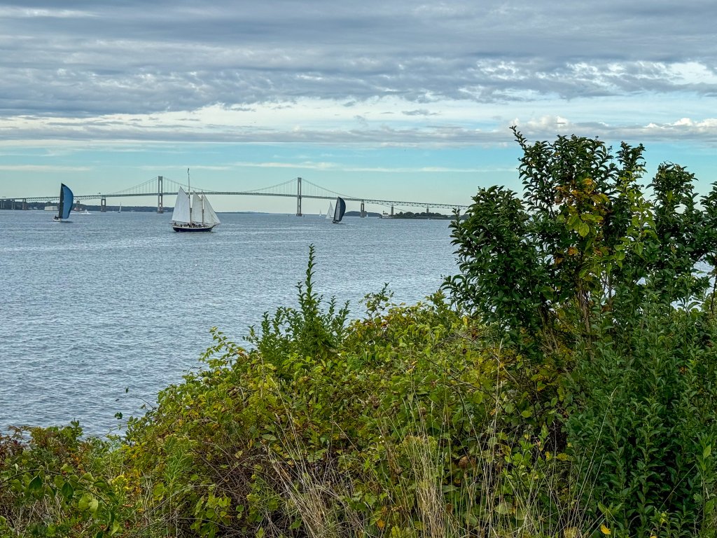a picture of Newport, RI bridge with sailboats in the water in front of it and shrubbery 