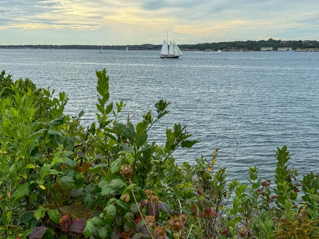 a boat in a harbor