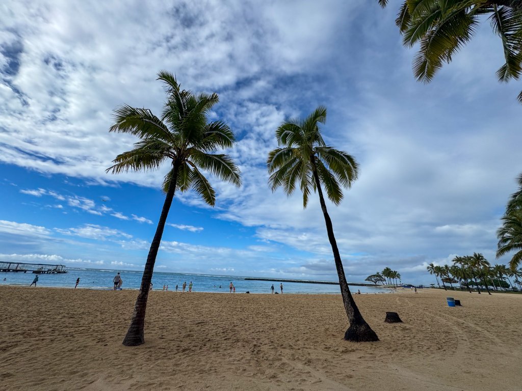 palm trees in front of waikiki beach