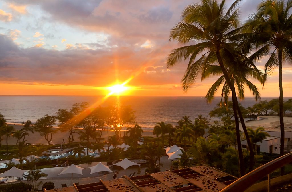 sunsetting over a beach 
