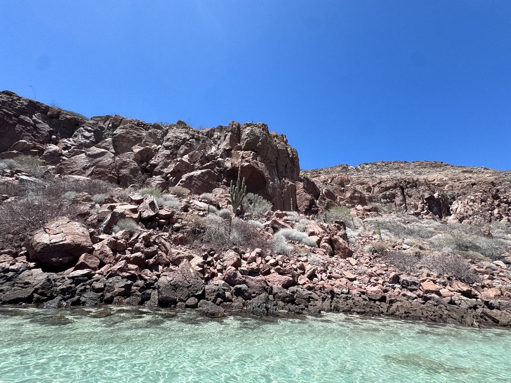 an ocean next to a desert landscape