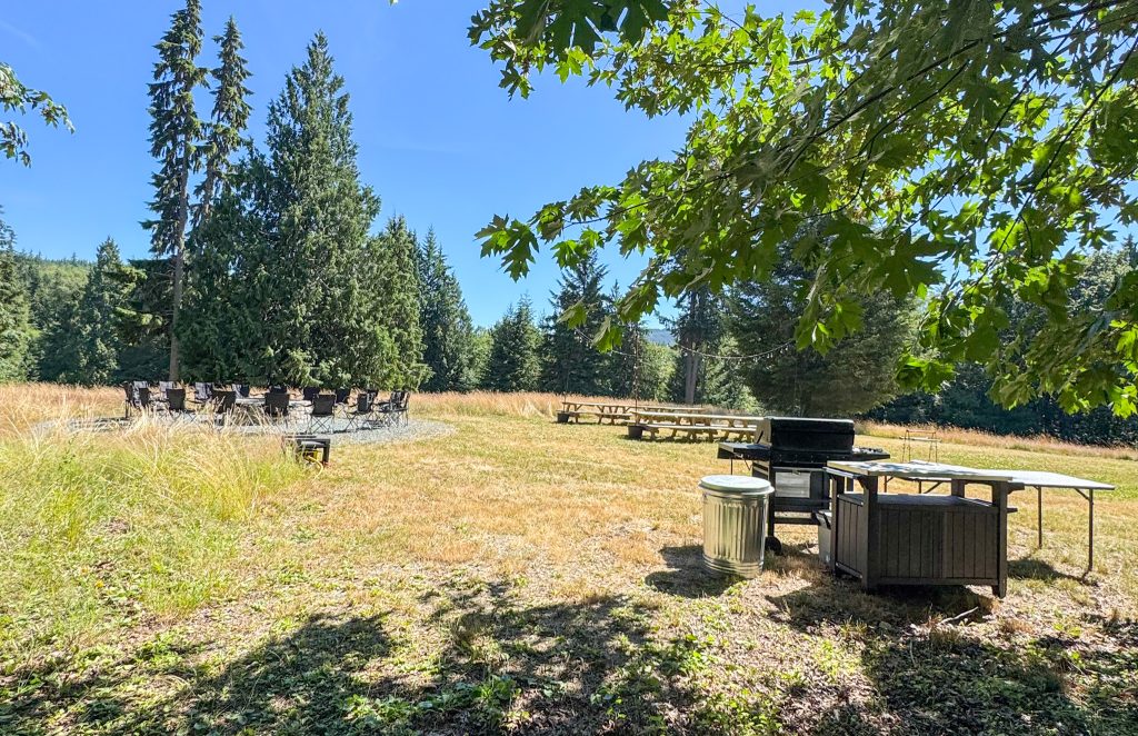 a meadow with grills and chairs